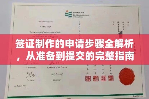 城固签证制作的申请步骤全解析，从准备到提交的完整指南