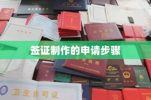 城固签证制作的申请步骤