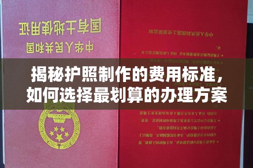 城固揭秘护照制作的费用标准，如何选择最划算的办理方案？