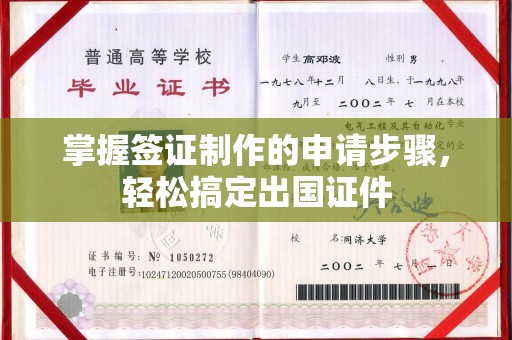 城固掌握签证制作的申请步骤，轻松搞定出国证件