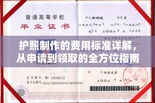 城固护照制作的费用标准详解，从申请到领取的全方位指南