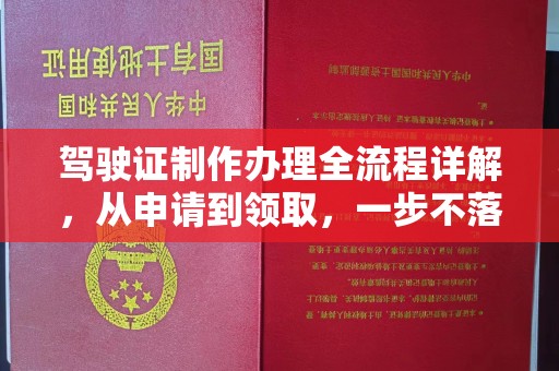 城固驾驶证制作办理全流程详解，从申请到领取，一步不落