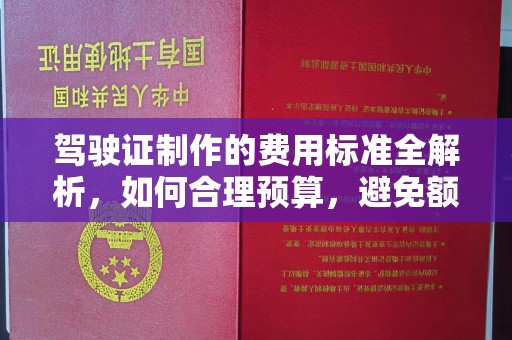 城固驾驶证制作的费用标准全解析，如何合理预算，避免额外支出